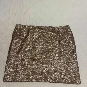 Sequin Skirt